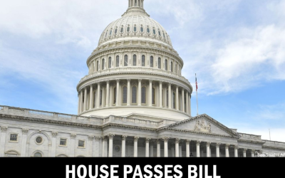 House Votes to Deport Noncitizens Convicted of Driving Drunk